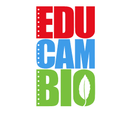 Educambio